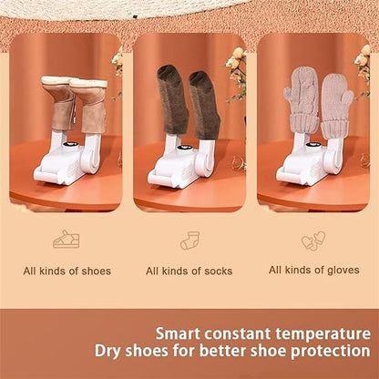 Shoe dryer used for gloves and boots